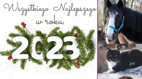 Szczęśliwego Nowego Roku!
